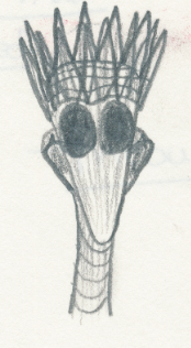 Shee Face (Click to enlarge)