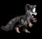 Raccoon (Image Credit: Sent)