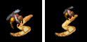 Egg Agent Glyphs (Click to enlarge)