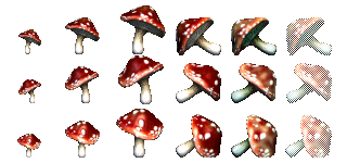Redcap Mushrooms (Image Credit: Jessica)