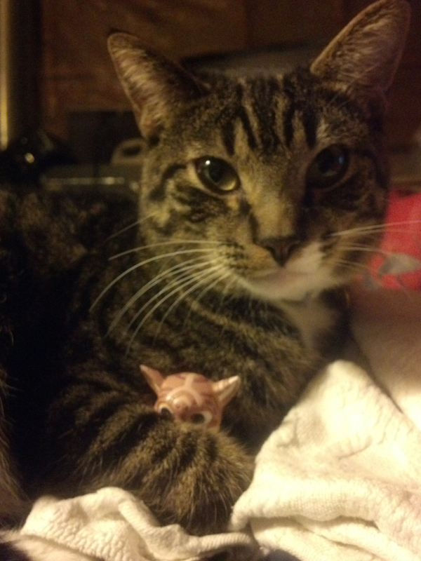 A Furry Friend (Click to enlarge)