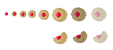 Dulcian Cookies (Image Credit: Trell)