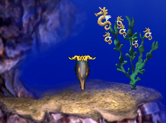 More Sealife (Image Credit: RisenAngel)