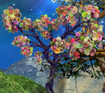 Caterpillars (Image Credit: Laura)