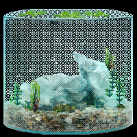 A Prototype Aquarium (Image Credit: Jesseth)