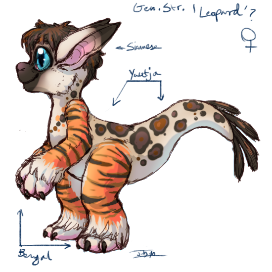 A Leopardy Hybrid (Click to enlarge)