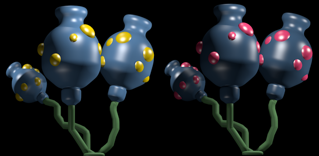 Morning Glory & Nightshade (Click to enlarge)