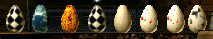 C2 Egg Collection Update! (Image Credit: NewNovaScotia)