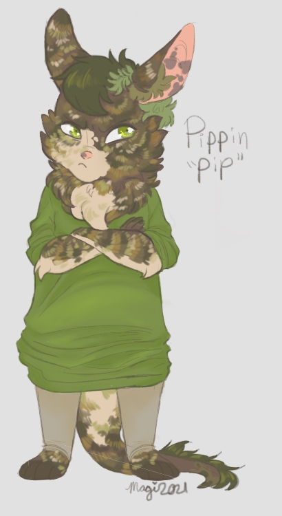 Pippin (Image Credit: PastelBat)