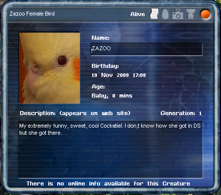 My Bird in DS (Click to enlarge)
