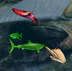 Seasonal Fish (Image Credit: Malkin)