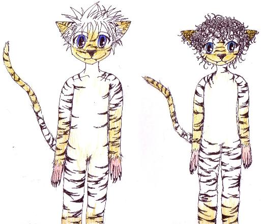 Honey Bengals Concept (Click to enlarge)