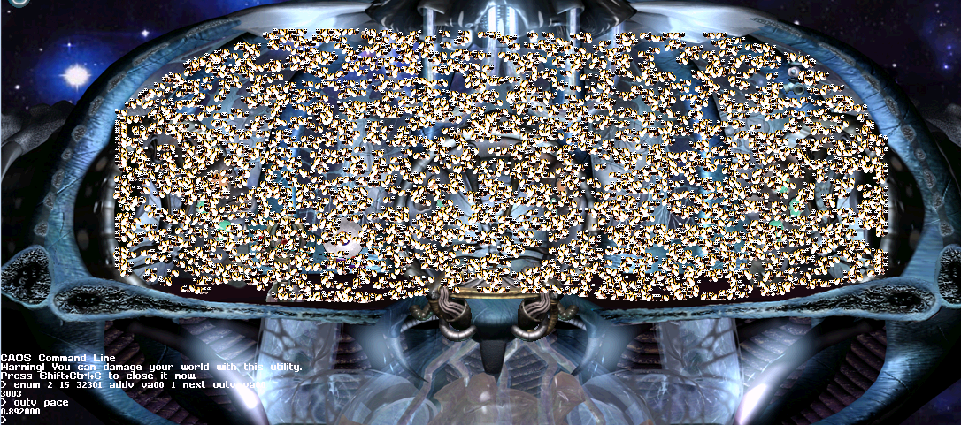 bees (Image Credit: xan)