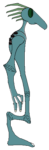 What I Think a Shee Looks Like (Click to enlarge)