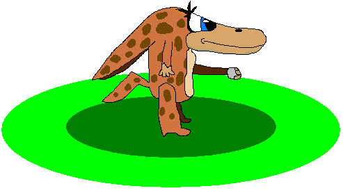 Coco and Her Rock (Click to enlarge)