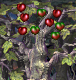 Grow Some Bouncing Plums!