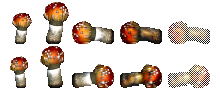 Lesser Redcap Mushrooms (Click to enlarge)