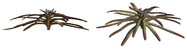 Weird Plant Sprites (Click to enlarge)
