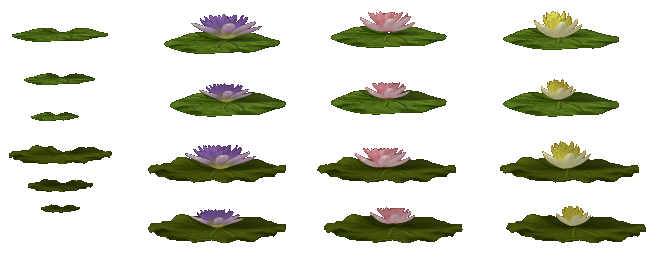 Water Lillies: Part 1 (Click to enlarge)