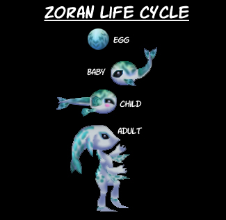 Zoran norn life cycle (Graphics)