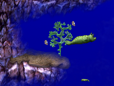 Sea Monkey Marina (Click to enlarge)
